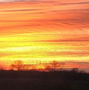 Meet your Posher, Jerry